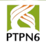 PTPN-6Logo-removebg-preview